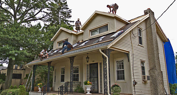 Best Roof Repair Specialists  in Casselton, ND